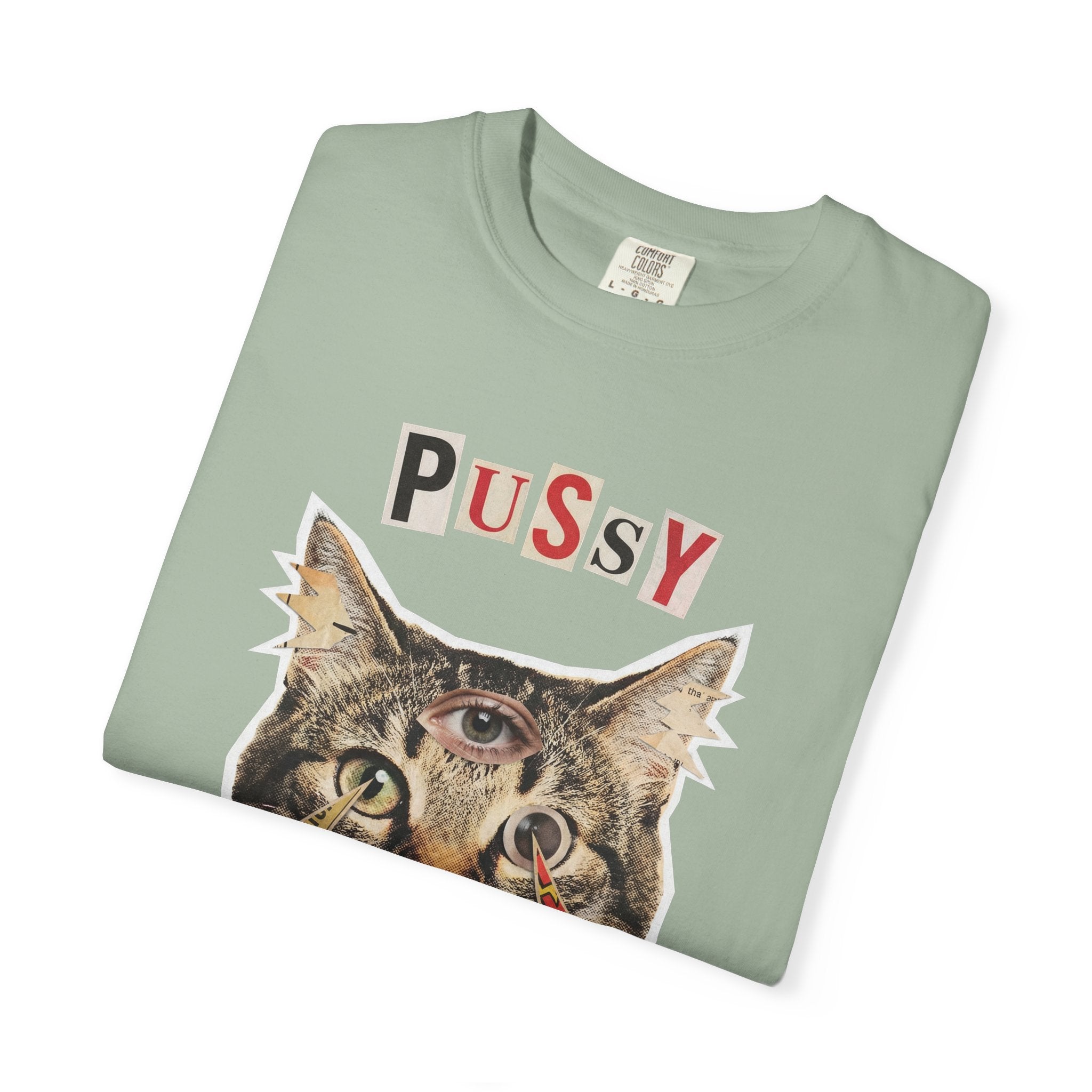 Pussy Power Feminism Comfort Colors Tee